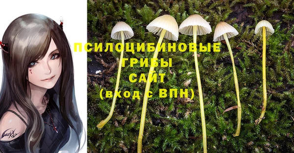 стаф Алексеевка