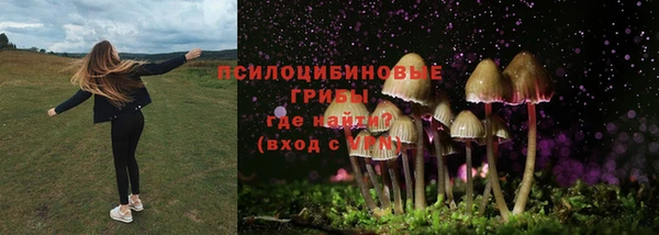 ALPHA PVP Абинск